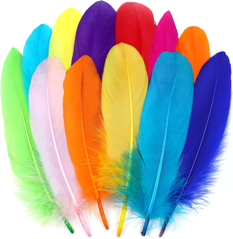 High Quality Acrylic Feathers