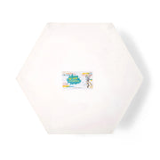 Al-Ain Hexagonal Artist Canvas, featuring a unique hexagonal shape, pre-primed and suitable for acrylic, oil, and other painting mediums.

img2