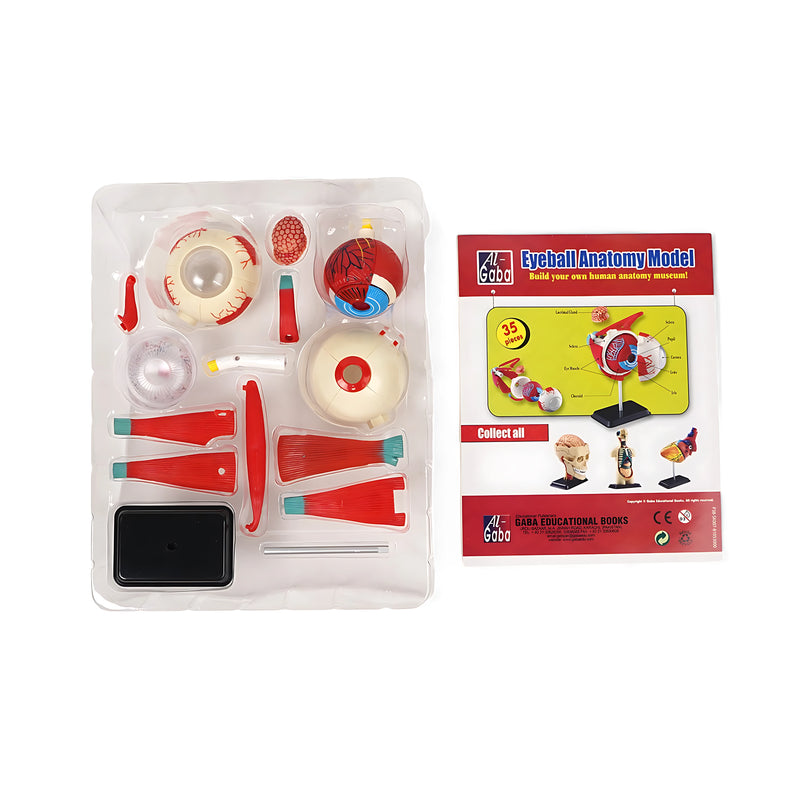 Al-Gaba Eyeball Anatomy Model with 35 detachable pieces, including a display stand and instructional manual, designed for educational purposes.

