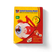 Al-Gaba Eyeball Anatomy Model with 35 detachable pieces, including a display stand and instructional manual, designed for educational purposes.

