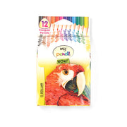 Dollar Colour Pencils Parrot Edition – 12 vibrant colours with tall and fat variants for children and artists.

