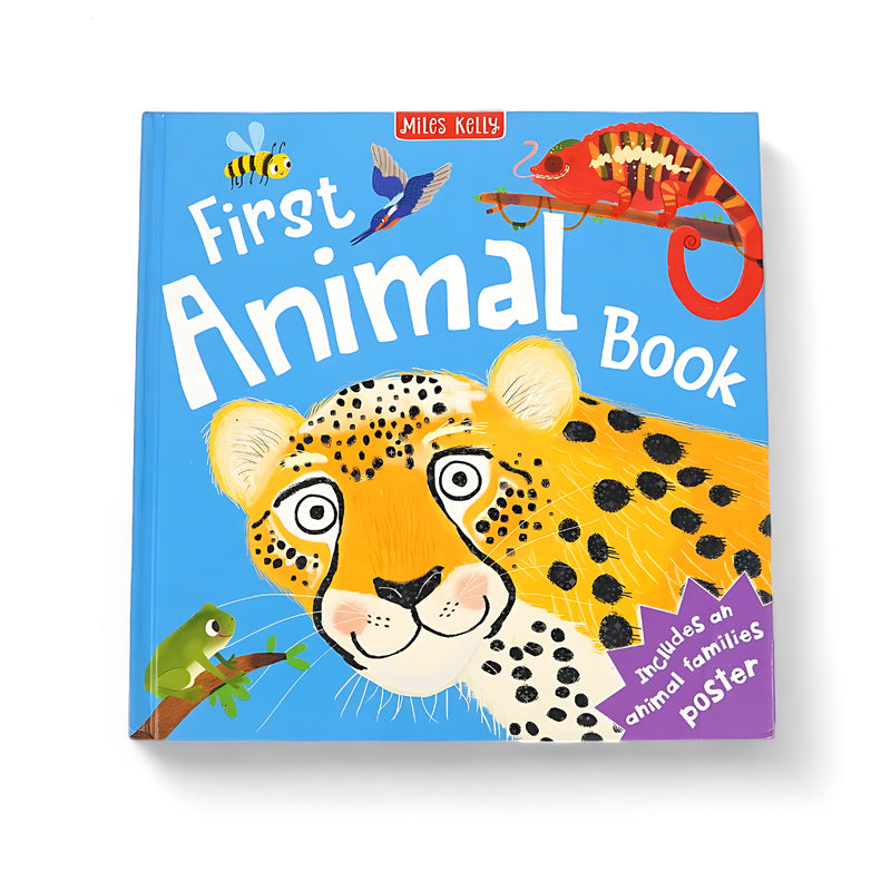 Cover of First Animal Book by Miles Kelly, featuring a playful illustration of a leopard, a frog, a hummingbird, and a chameleon, with the tagline "Includes an animal families poster."






