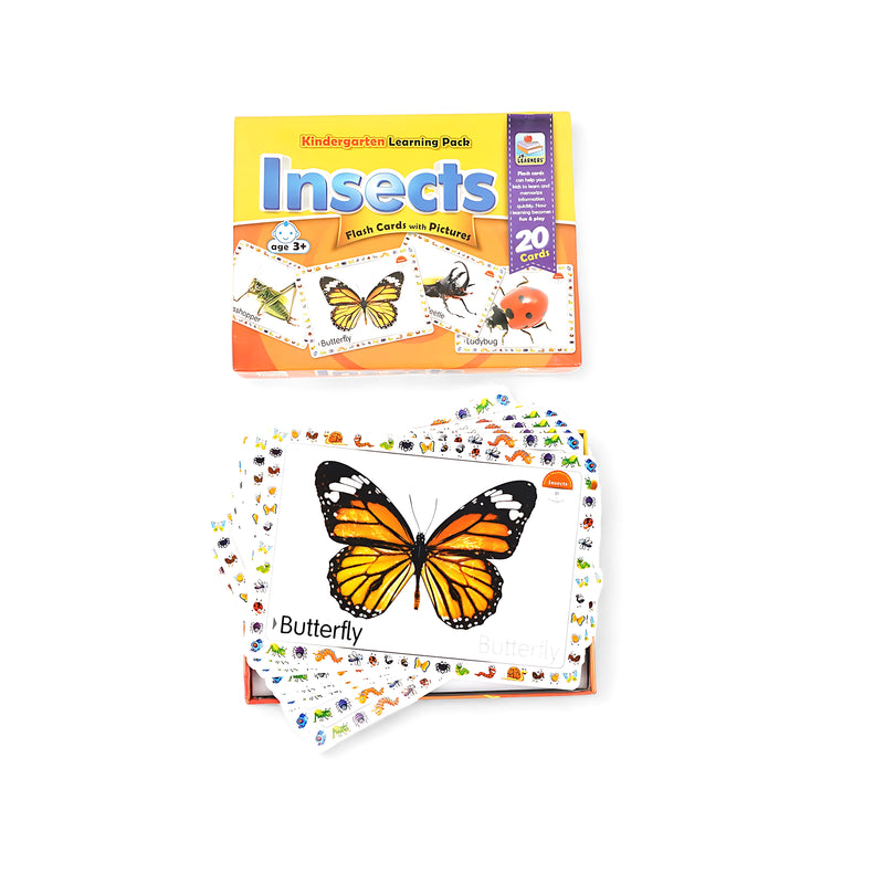 Insects Flash Cards - Kindergarten Learning Pack with Pictures for Kids Age 3+ - 20 Educational Insect Cards

