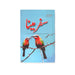 Cover of Safar Meena by Ashfaq Ahmed, featuring two colorful birds perched on a branch against a bright blue sky, symbolizing companionship and freedom.

